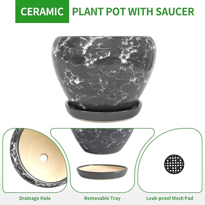 Deep Dream 8 Inch Plant Pots- Ceramic Pots - Image 6
