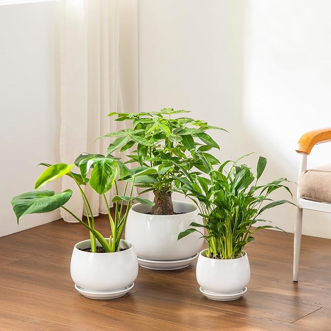 vancasso 3-Pack Ceramic Plant Pots, 7.3/9.6/11.6 Inch Indoor Planters - Image 4
