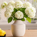 Mitt&Ditt Ceramic Flower Vase, 7.5 inch Off-White Farmhouse Rustic Vase by MittDitt