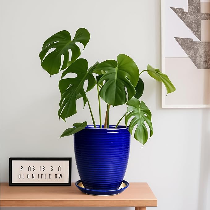 Round Ceramic Planter - Image 4