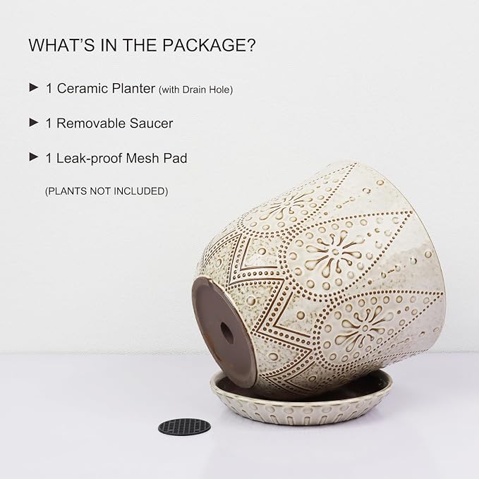 Gepege 10 Inch Ceramic Plant Pot - Image 3