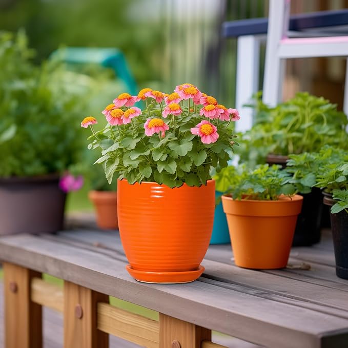 6 Inch Ceramic Plant Pots with Drainage Hole and Saucer, Flower Pot Indoor - Image 4
