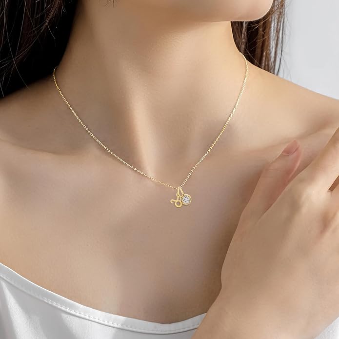 MISS RIGHT Initial Birthstone Necklace for Women - Personalized Gifts Birthday Gifts for Women Stainless Steel 18K Gold Plated Dainty Gold Zodiac Sign 12 Constellation Horoscope Necklace Jewelry