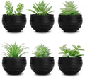 Der Rose 6 Pack Fake Succulents Plants in Black Pots by DerRose