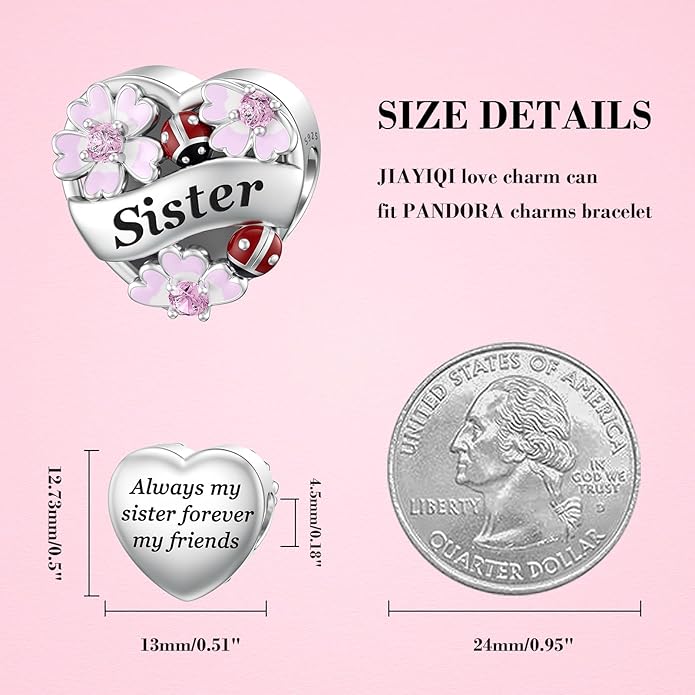 JIAYIQI Heart Love Charms for Mom Grandma Daughter Sister Friend Wife Fit Bracelet 925 Sterling Silver Daisy Ladybug Charm Bead Valentine's Day Mother's Day Birthday Christmas Jewelry for Women