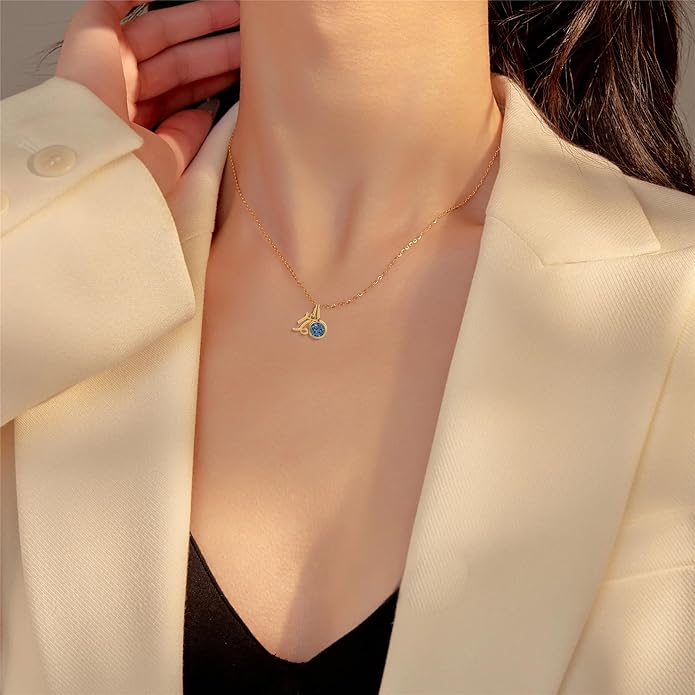 MISS RIGHT Initial Birthstone Necklace for Women - Personalized Gifts Birthday Gifts for Women Stainless Steel 18K Gold Plated Dainty Gold Zodiac Sign 12 Constellation Horoscope Necklace Jewelry