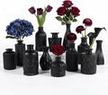 Mini Bud Vases Centerpieces for Tables, Small Flower Vases Suitable for by Unknown