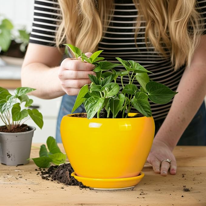 Ceramicfor Ceramic Pot for Plants - Image 6