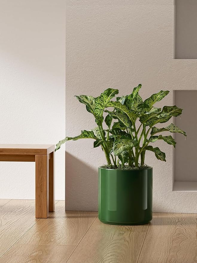 LE TAUCI 12 Inch Pot for Plants, Ceramic Planters for Indoor Plants, - Image 2