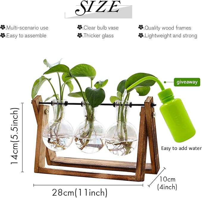 XXXFLOWER Plant Terrarium with Wooden Stand, Air Planter Bulb Glass Vase Metal - Image 2