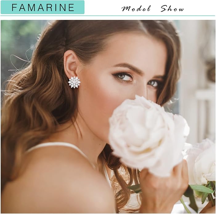 FAMARINE CZ Clip on Earrings for Women Clip Earring Non-pierced Earrings