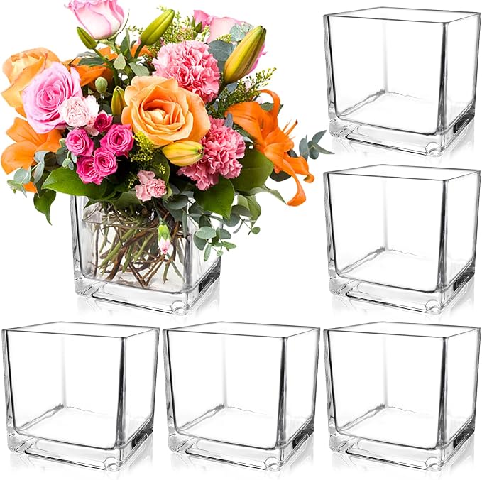 PINIWON 6 Pack Square Glass Vases 5 x 5 x 5 Inch, Wedding Party Home Decor by PINIWON