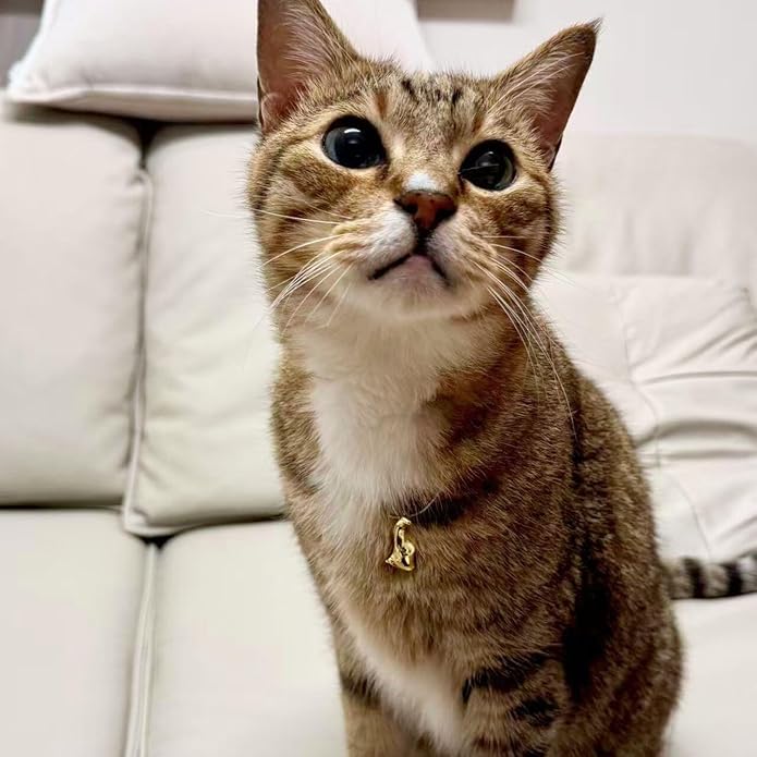 Renaiz Egyptian Gold Cat Necklace for Women - 14K Gold Plated Ancient Egypt Inspired Dainty Sitting Kitty Pendant, Bastet Charm, Hypoallergenic Cat Lover Gifts, Ultimate Elegance for Ailurophile Meow