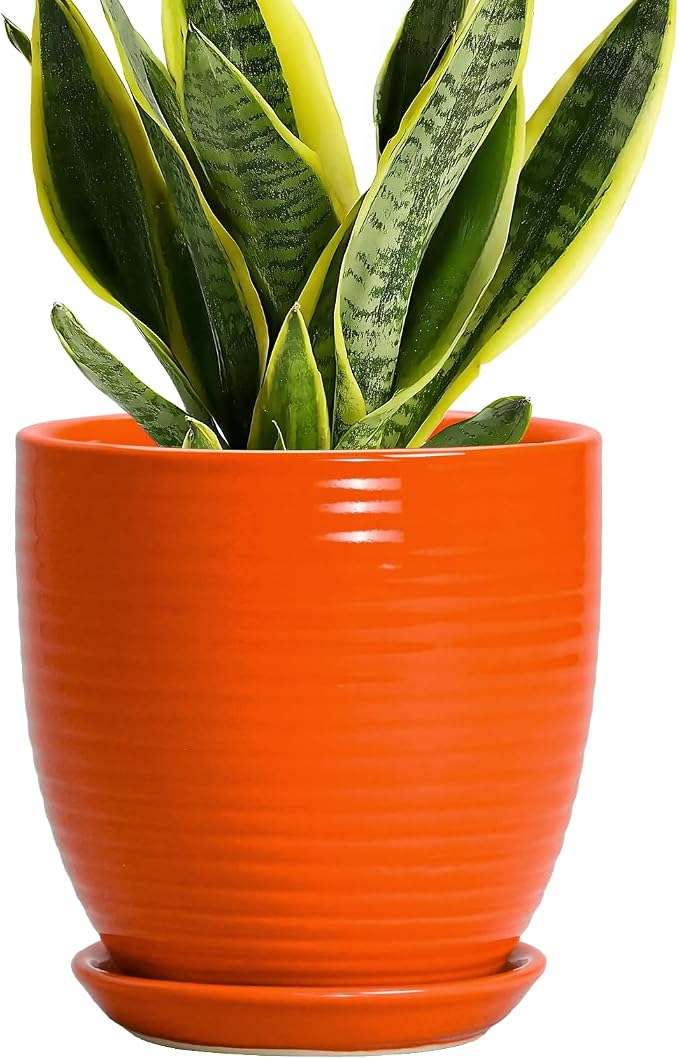 6 Inch Ceramic Plant Pots with Drainage Hole and Saucer, Flower Pot Indoor by EPFamily
