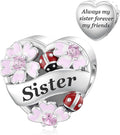 JIAYIQI Heart Love Charms for Mom Grandma Daughter Sister Friend Wife Fit Bracelet 925 Sterling Silver Daisy Ladybug Charm Bead Valentine's Day Mother's Day Birthday Christmas Jewelry for Women
