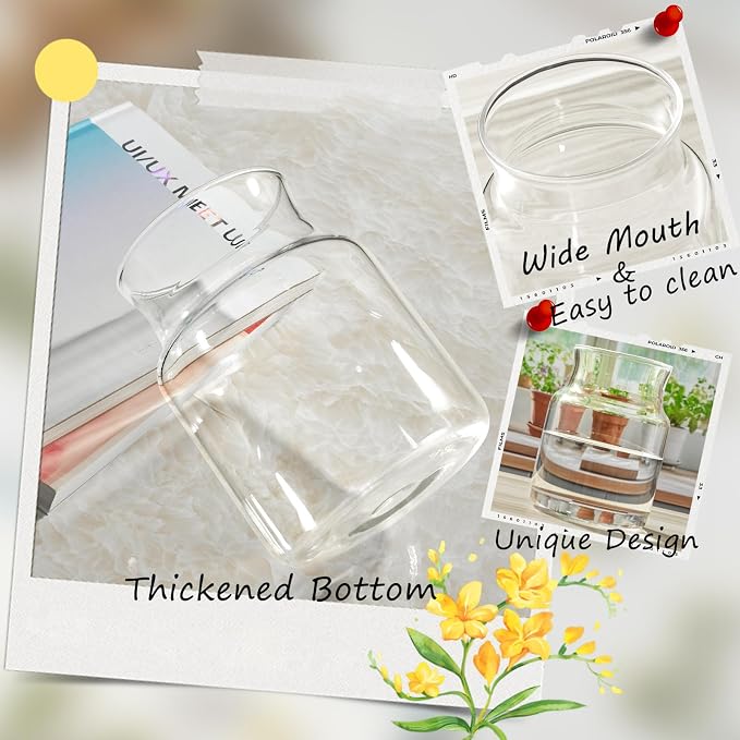 Clear Glass Vase, Large Flower Vase, 8-inch Glass Flower Vase - Image 6