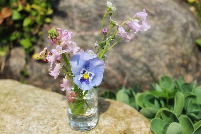 WGVI Quality Thick Weighted Clear Cylinder Glass Vases, Flower Arrangement - Image 9