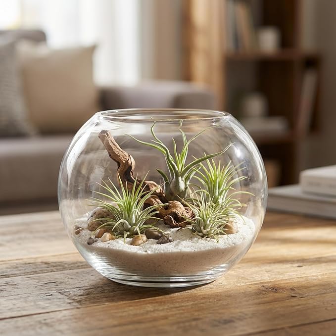 WGV Bowl Glass Vase, Diameter 5.1", Height 3.75", Open Width 3", 1 Piece - Image 7