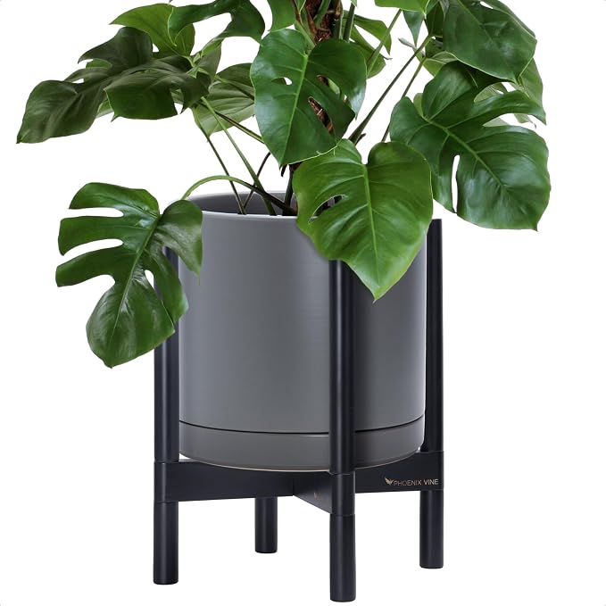 D'vine Dev Ceramic Pot with Ebony Wood Stand, 12 in, 55-B-H-3 | Mid-Century by DvineDevPlanterPotsandStand