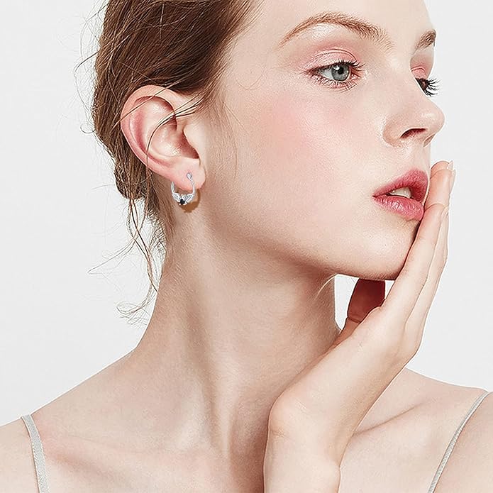 JUSTKIDSTOY Hypoallergenic Panda/Unicorn/Hummingbird/Dolphin Hoop Earrings for Women 925 Sterling Silver Animal Huggie Hoop Earrings Jewelry Gifts for Sensitive Ears