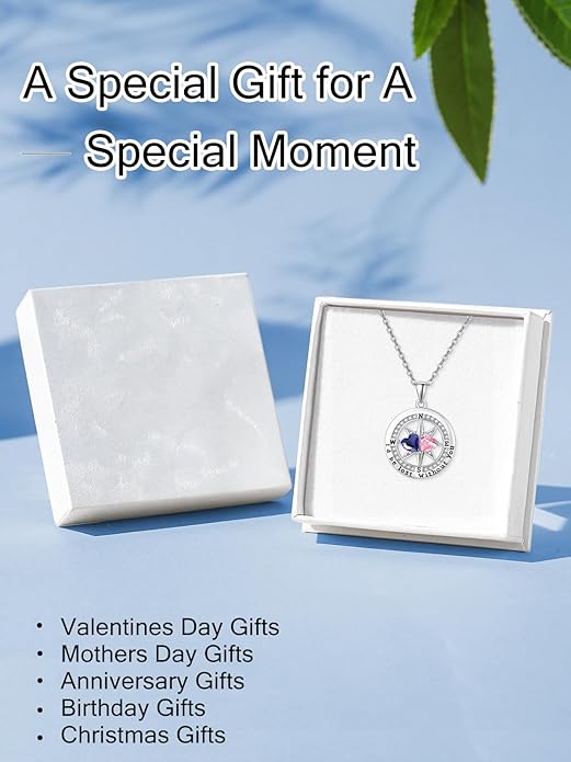 Compass Necklace for Women, Exquisite S925 Valentines Day Anniversary Birthday Gifts for Wife Her Double Birthstone Pendant Jewelry ‘I'd be Lost Without You’