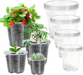 52 Pack 7/6/5/4 Inch Clear Nursery Pots by Unknown