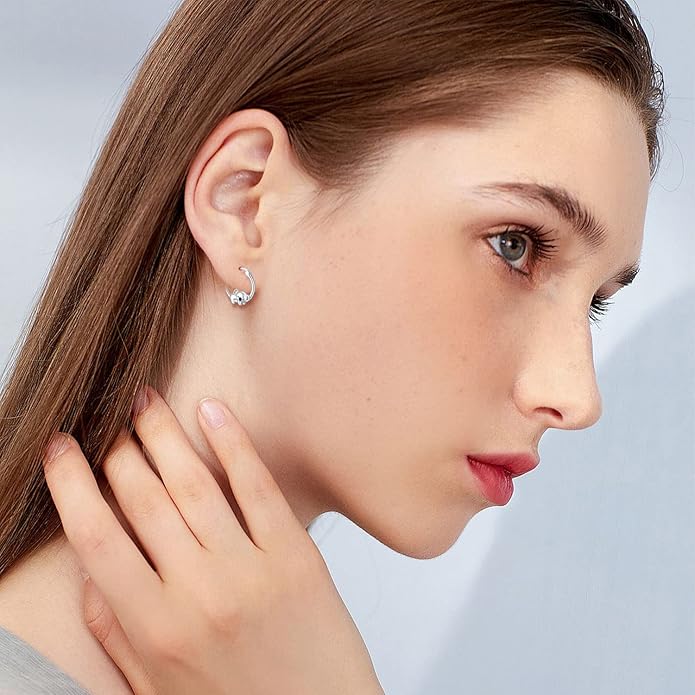 JUSTKIDSTOY Hypoallergenic Panda/Unicorn/Hummingbird/Dolphin Hoop Earrings for Women 925 Sterling Silver Animal Huggie Hoop Earrings Jewelry Gifts for Sensitive Ears