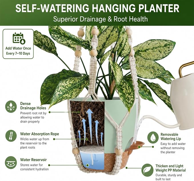 Bouqlife Large Hanging Planters - Image 3
