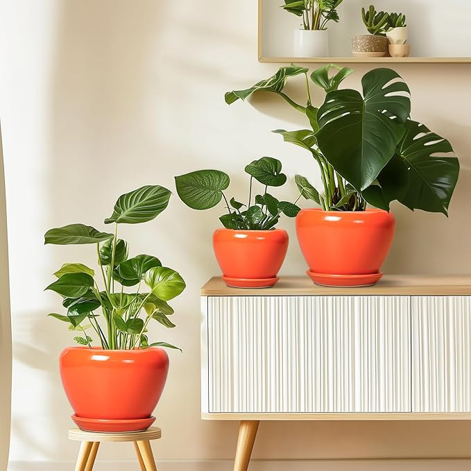 Ceramicfor Ceramic Plant Pot 6 Inch - Image 8