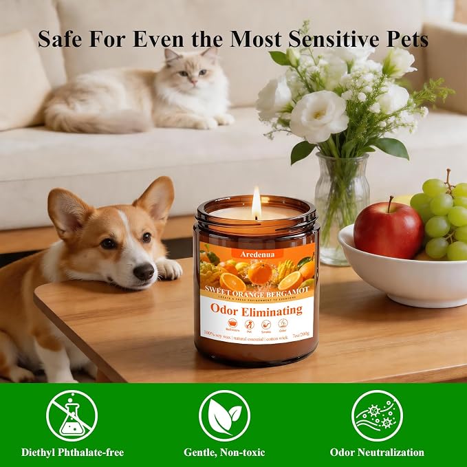 Sweet Orange Odor Eliminating Candles, 7 oz Soy Scented Candle | Eliminates 95% - Image 4