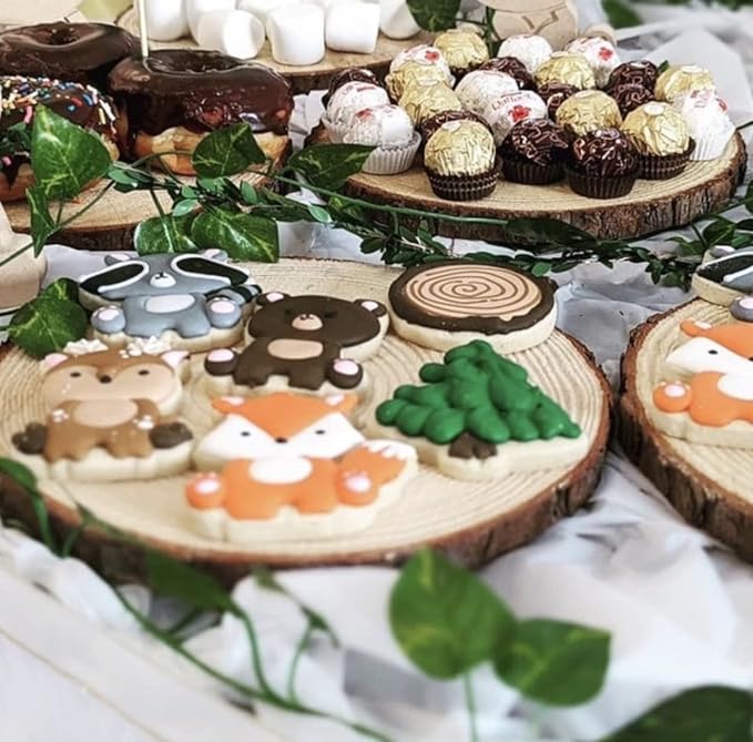 Set of 9-11 inch Wood Slices for centerpieces! Wedding centerpieces, Bulk Wood - Image 5