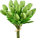 Mandy's 20pcs Artificial Green Tulips | 13.5 Inch Lifelike PU Tulips Faux by Mandys