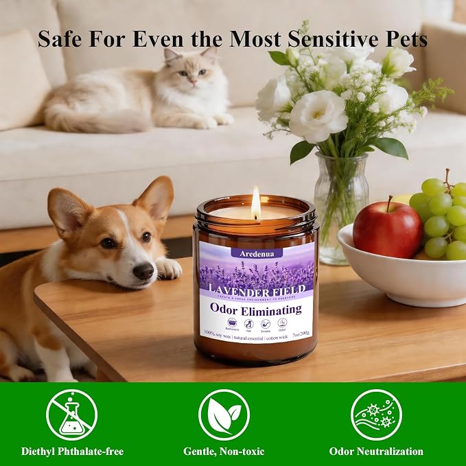 Lavender Odor Eliminating Candles, 7 oz Soy Scented Candle - Image 4