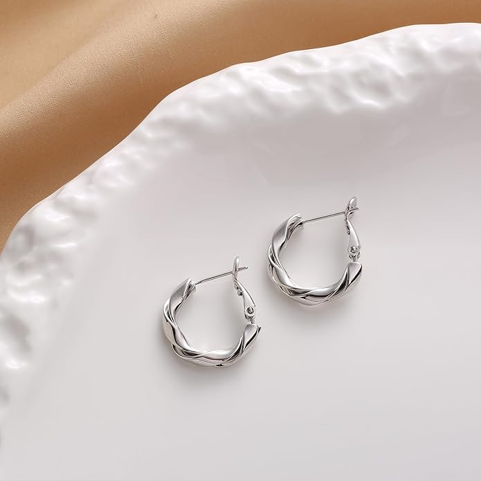 14k Gold Plated Hoop Earrings for Women, 925 Sterling Silver Posts Thick Twist Hypoallergenic Chunky Large Earrings 20mm 30mm 40mm 50mm