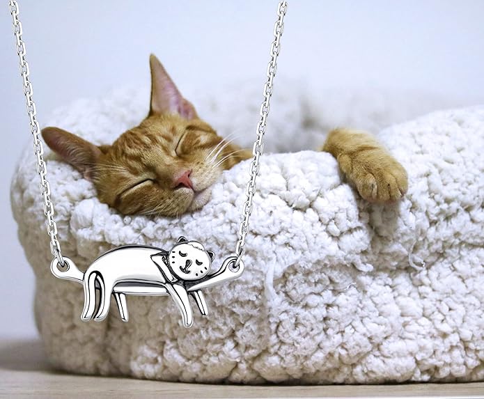 Step Forward Sterling Silver Cat Necklace for Women - Cat Jewelry Gifts for Cat Lovers, Hummingbird Necklace for Her, Mother's Day Birthday Graduation Christmas Gift