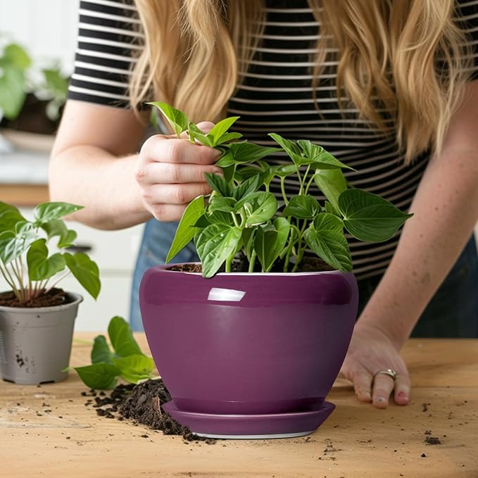 Ceramicfor Ceramic Pots for Plants 6 Inch - Image 5