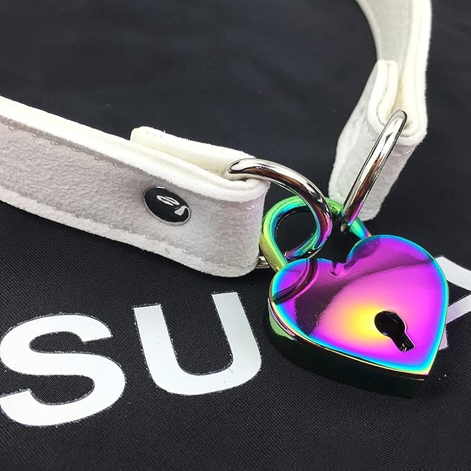 Succuba Padlock Choker Collar Necklace with Lock and Key Heart Lock Choker for Women and Men (D, 14)
