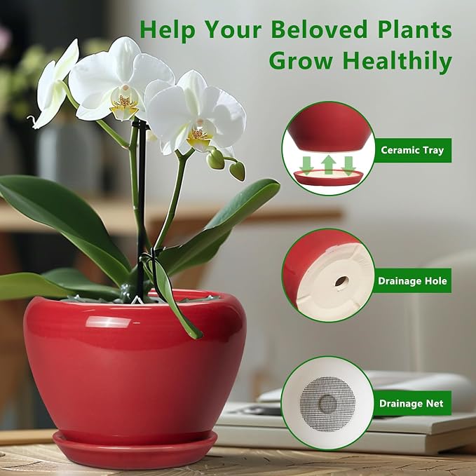 Ceramicfor 6 Inch Plant Pot - Image 5