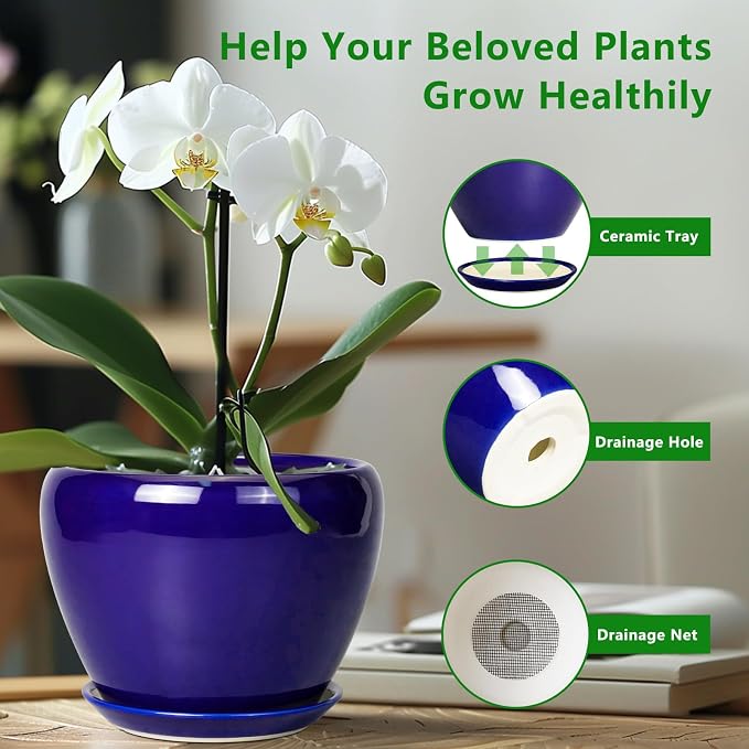 Ceramicfor 6 Inch Plant Pot - Image 6