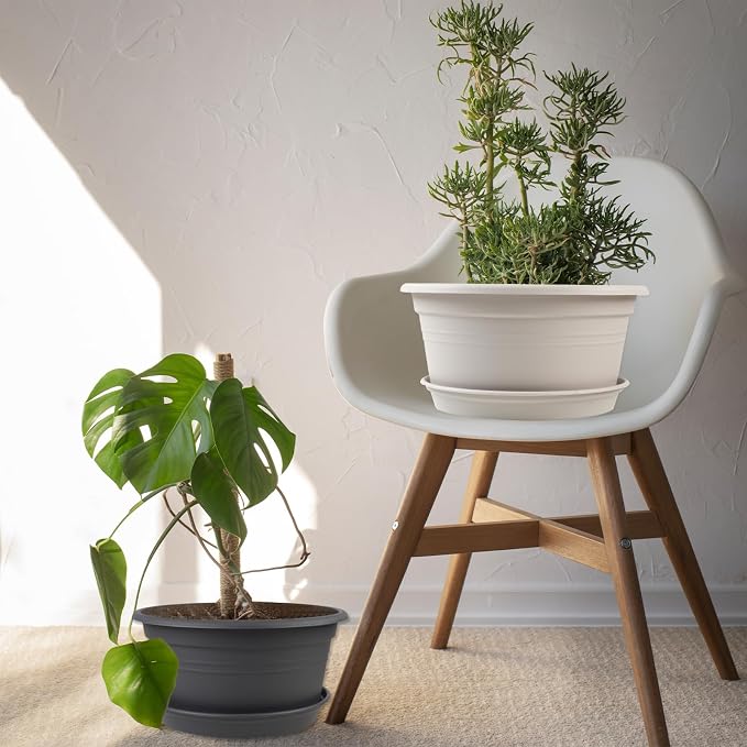6 Pack 10 inch Plant Pot, Shallow Planters - Image 6