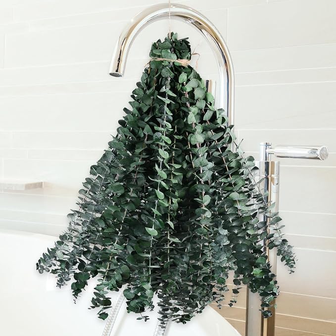 36 PCS Dried Eucalyptus for Shower Hanging 17 Preserved Eucalyptus Stems | - Image 7