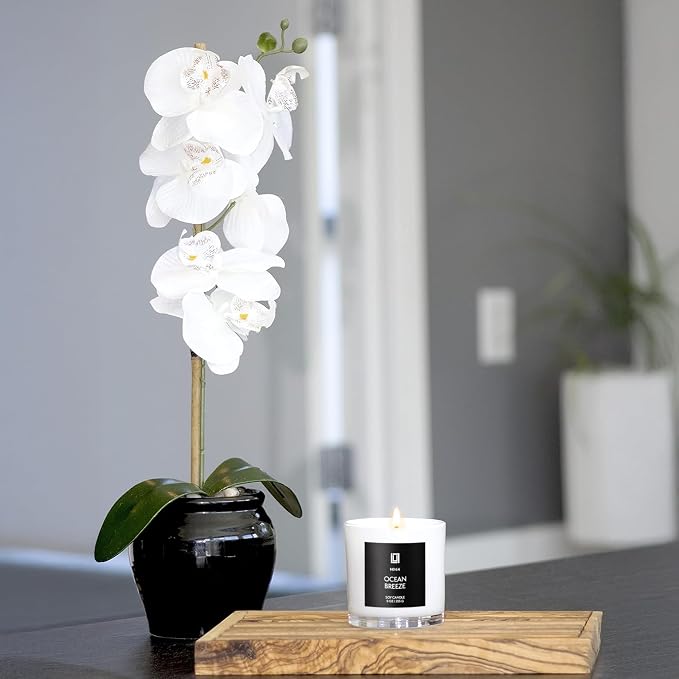 Lulu Candles | Ocean Breeze | Luxury Scented Soy Jar Candle | Hand Poured in - Image 6