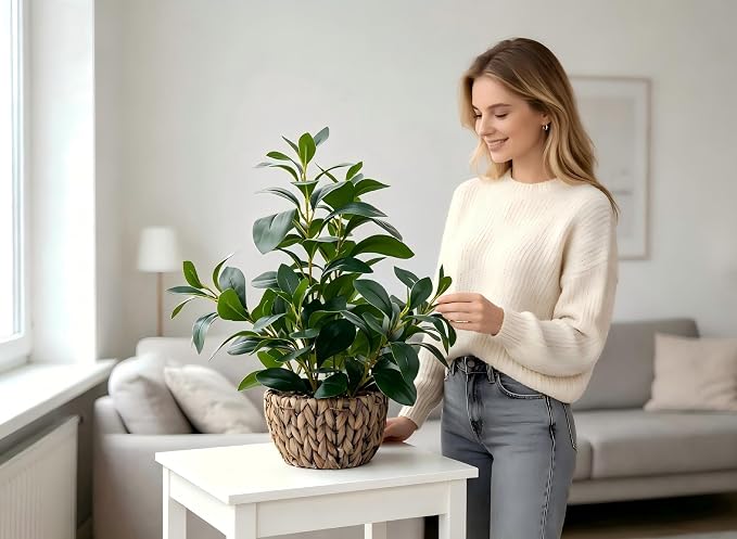 AlphaAcc Fake Indoor Ficus Plant in Rattan Basket Planter Home Office Decor | - Image 3