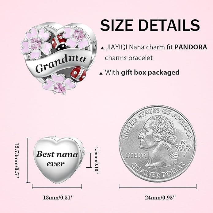 JIAYIQI Heart Love Charms for Mom Grandma Daughter Sister Friend Wife Fit Bracelet 925 Sterling Silver Daisy Ladybug Charm Bead Valentine's Day Mother's Day Birthday Christmas Jewelry for Women