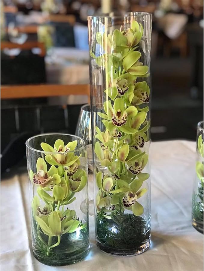 WGVI Quality Thick Weighted Tall Clear Cylinder Glass Vase, Flower Arrangement - Image 4