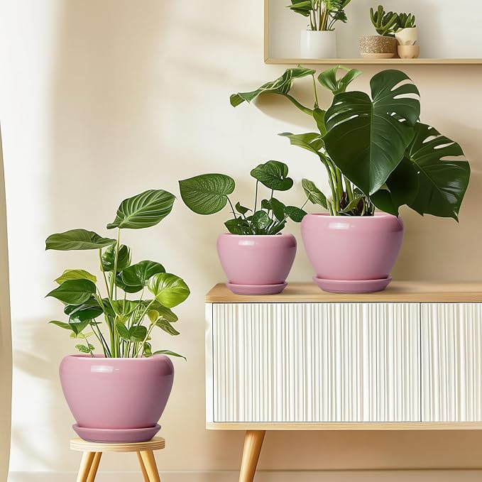 Ceramicfor Ceramic Modern Glaze Succulent Planter Pot - Image 8