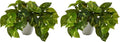 Nearly Natural 9in. Pothos Artificial Plant in White Planter by NearlyNatural