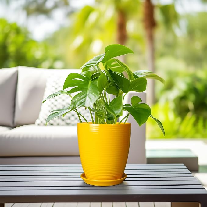 Ceramic Plant Pot - Image 5
