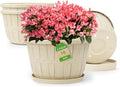 Quarut 4 Pack 10 inch Flower Pots, Plastic Plants Pots Outdoor | Planters by Quarut