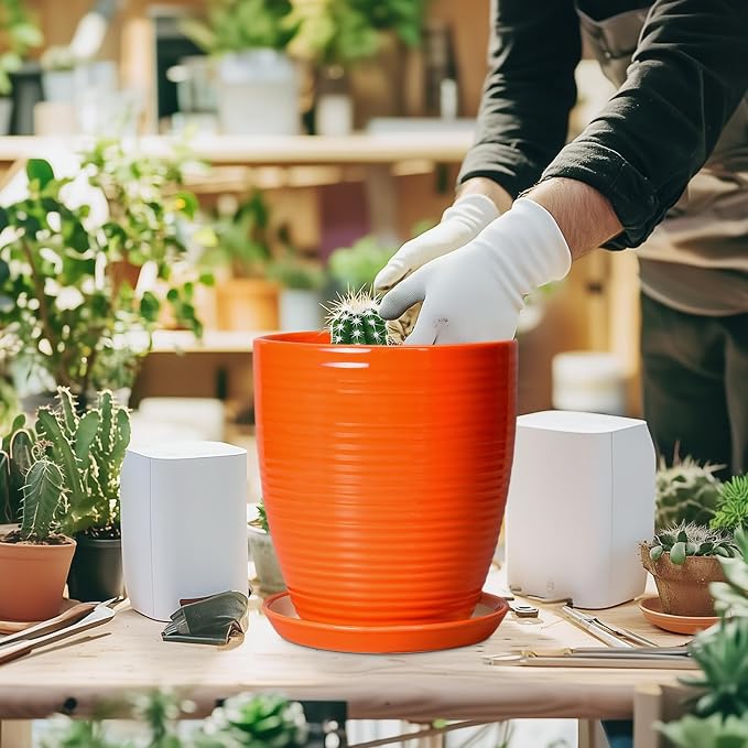 8 Inch Plant Pot, Ceramic Planters - Image 4